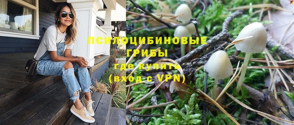 соль курить ск Алзамай