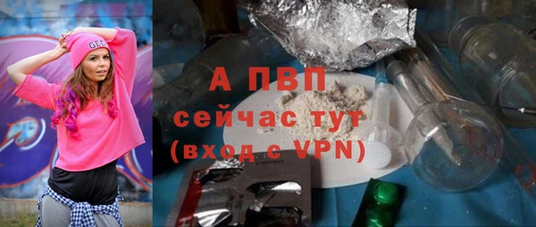 ПСИЛОЦИБИНОВЫЕ ГРИБЫ Касимов