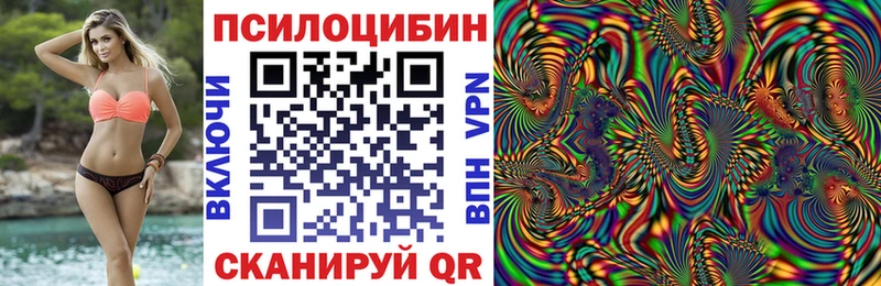 Галлюциногенные грибы Psilocybe  Зеленоградск 